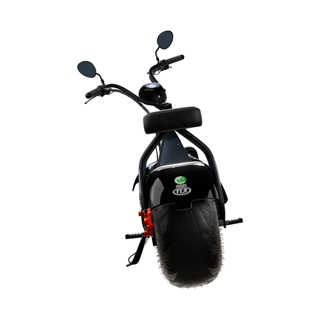 Scooter Elétrica TUI 1000W | 2 Lugares | Sem CNH | Completa - 4